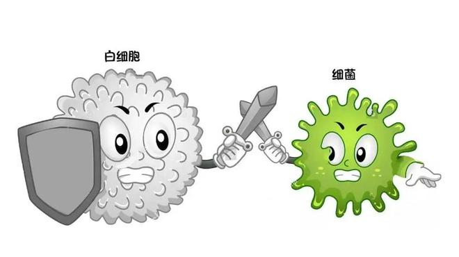 b033a5f7e9a4dd91d987870499d601d1.png 2.png