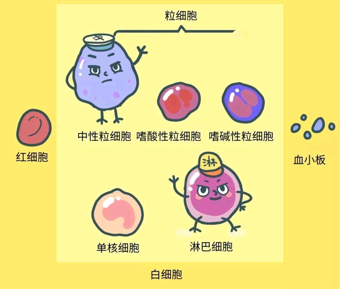 d59dfb27e9aa62b82e71177ef1102de4.png 1.png